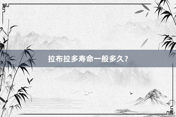 拉布拉多寿命一般多久？